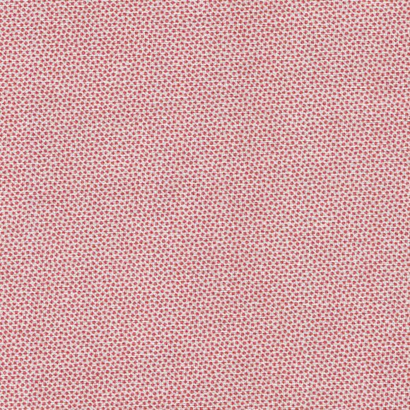 DHER1503 Pin Dot Coral