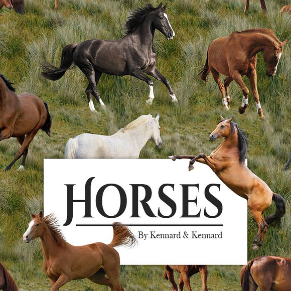 Kennard & Kennard - Horses