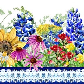 Hill Country Flowers