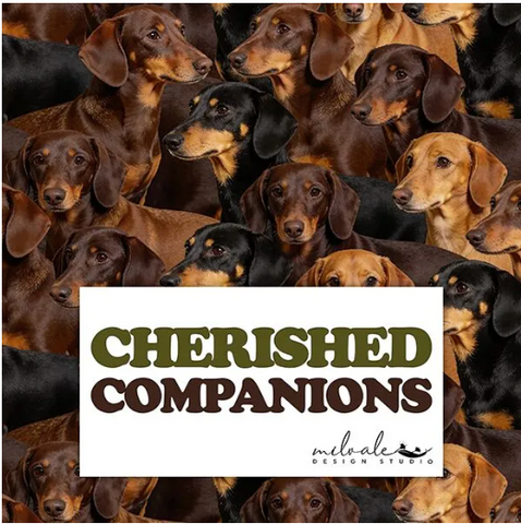 Cherished Companions- NEW!