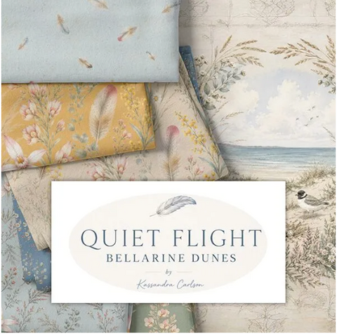 Quiet Flight