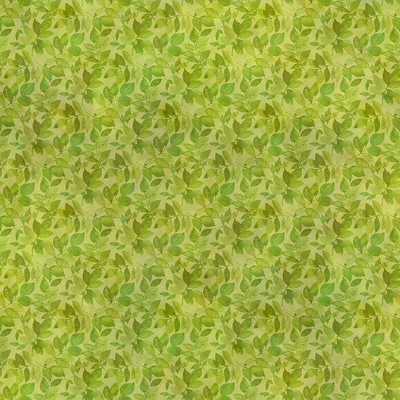 11BDN-1 Green Leaves