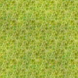 11BDN-1 Green Leaves