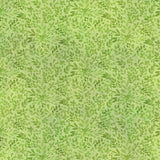 12BDN-1 Green Branches