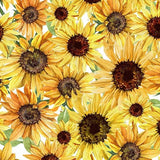 Pattern of yellow sunflowers on white background.