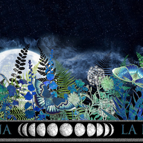 3LL-1M Blue/Silver Border