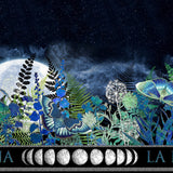 3LL-1M Blue/Silver Border