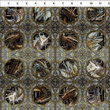 4DSD-1
