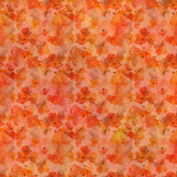 7BDN-1 Orange Poppies