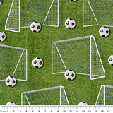4104A3 - Soccer Goals Grass