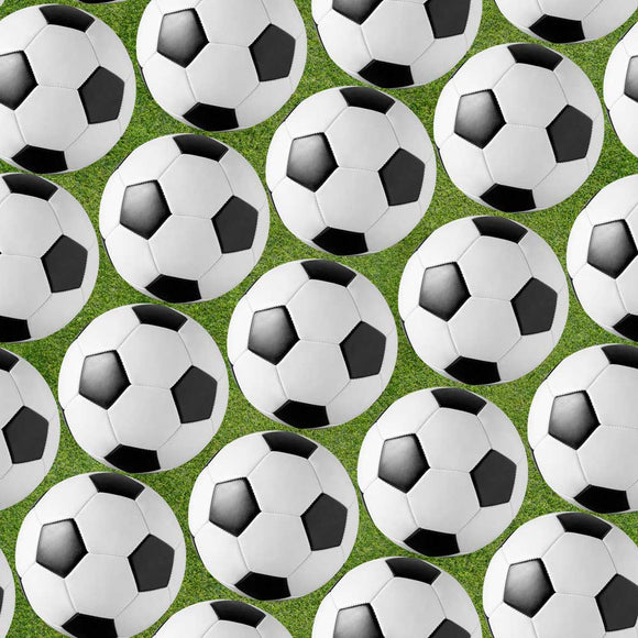 4104A4 - Soccer Balls Grass