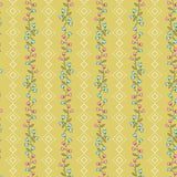 BD 26 02 02 Clematis - Sweet Sunshine