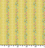 BD 26 02 02 Clematis - Sweet Sunshine