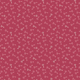 BD 26 04 03 Keys - Watermelon