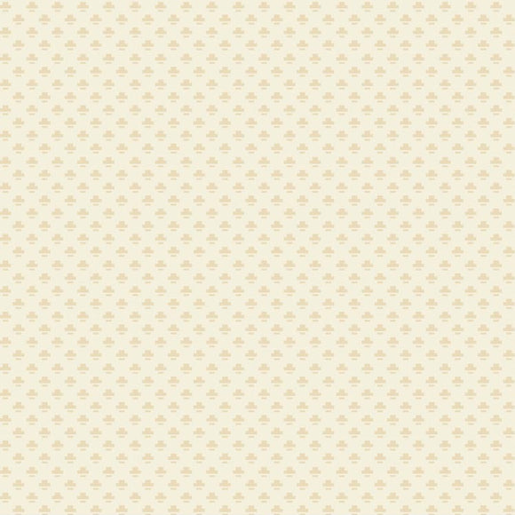 BD 26 05 01 Straw Hats - Cotton