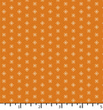 BT 24 10 02 Hopscotch - Apricot