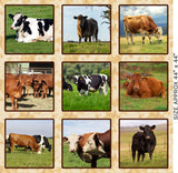 4101C - Block Collage