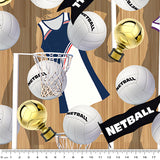 4104C1 - Netball Match