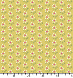 FH 25 03 02 Dandelion - Sweet Sunshine