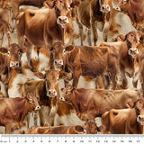 4101G - Jersey Cows