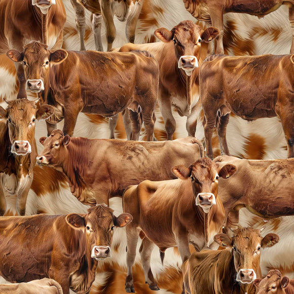 4101G - Jersey Cows