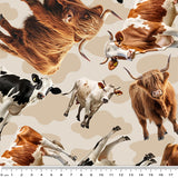 4101H - Mixed Cows