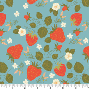 Phoebe Fabrics - PH0402 - Summer Picnic