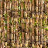 4100Q - Sugarcane