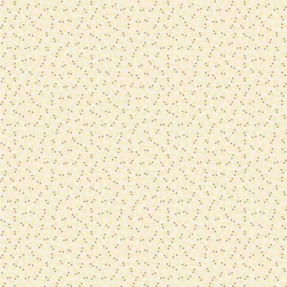 SOT 25 11 01 Snowbird - Cotton