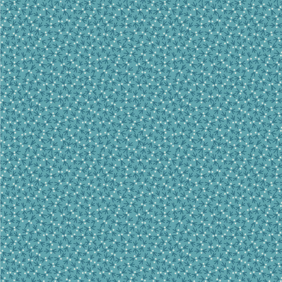 SOT 25 11 02 Snowbird - Fountain Blue