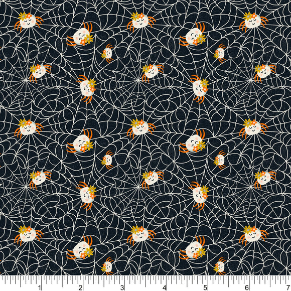 PH0684 Spinning A Web