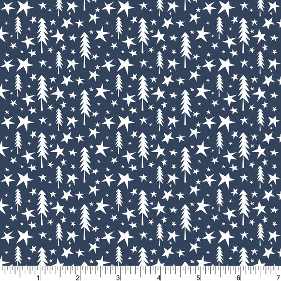 PH0701 Wish Upon A Star