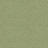 Y4065-24D