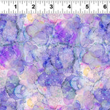 Y4071-85D