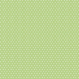 Y4697-24 Olive
