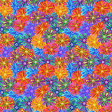 Y4701-55 Multi Color