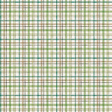 Y4729-55 Multi Color