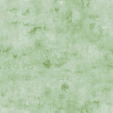 Y4936-110 Mint