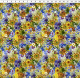 Y4946-55 Multi Color