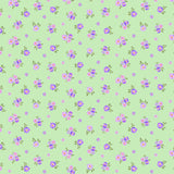 Y4977-20 Light Green