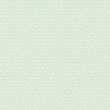 Y4999-100 Light Turquoise