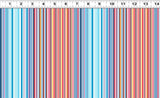 Y5019-55 Multi Color