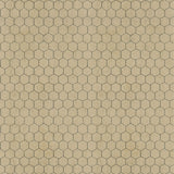 Y5058-64 Light Caramel