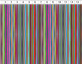 Y5065-55 Multi Color