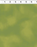 Y5089-24 Olive