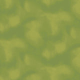 Y5089-24 Olive