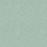 Y5094-103 Light Teal