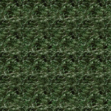 Y5101-114 Dark Forest