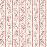 Y5153-42 Pink