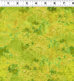 Y5166-126 Citron FLANNEL